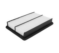 Filtron Filtro aria AP113/6 per Mazda 3 e CX-5