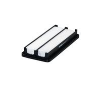 Filtro aria FILTRON AP 115/3
