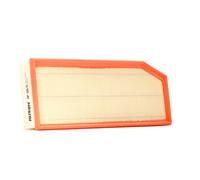 Filtro aria FILTRON AP118/9