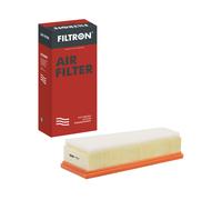 FILTRON AP 119/8 Filtro aria