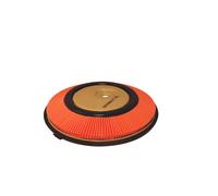 Filtron Filtro aria AP123 per Nissan Sunny III