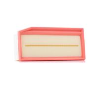 Filtro aria FILTRON AP 135/7