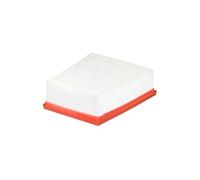 Filtro aria FILTRON AP135/8