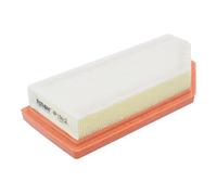 Filtro aria FILTRON AP 136/2