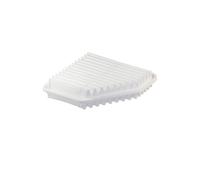 Filtron Filtro Aria Ap142/10