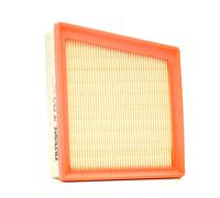 Filtron Filtro dell'aria, AP151/5