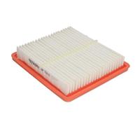 FILTRON AP 154/6 Filtro aria motore Cartuccia filtro