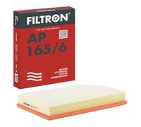 Filtro aria FILTRON AP165/6