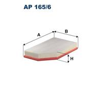 Filtro aria FILTRON AP165/6