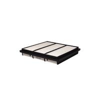 Filtro aria FILTRON AP172/1