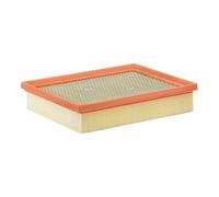 Filtro aria FILTRON AP186/2