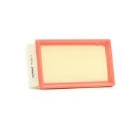 Filtro aria FILTRON AP 196/5
