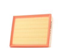 Filtro aria FILTRON AP 196/9