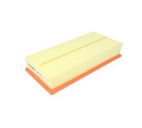 Filtron ap021 Filtro aria