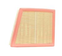 Filtro aria FILTRON AP026/4