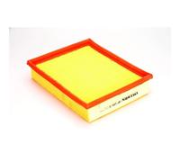 Filtro aria FILTRON AP135/3