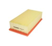 Filtro aria FILTRON AP196/6