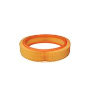 Filtro aria FILTRON AR202