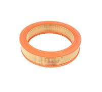 Filtron AR230 Filtro aria