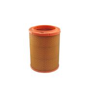 Filtro aria FILTRON AR252