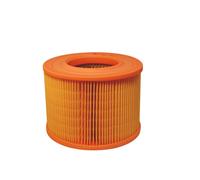 Filtro aria FILTRON AR274