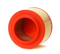 Filtro aria FILTRON AR307/3