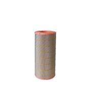 Filtro aria FILTRON AR350/3