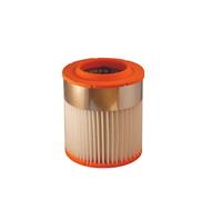 Filtron Filtro aria AR371/1 per Audi A8 D3 (4E2, 4E8)