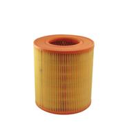 Filtro aria FILTRON AR371/2