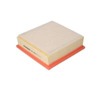 Filtro aria FILTRON AP098/3