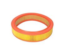 Filtron Filtro dell' aria, AR201