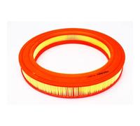 Filtron Filtro dell' aria, ar204/1