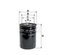 FILTRON Filtro Olio Filtro A Vite Per Fiat Ducato Kasten 180 Multijet 3.0 D 160