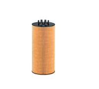 Filtron Filtro olio motore OE 651/5 per Mercedes-Benz, Setra