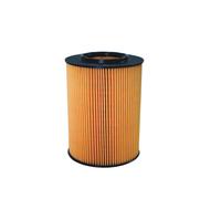 FILTRON OE 676 Filtro olio