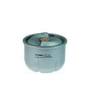 Filtron Filtro olio OR744 per Ford, Land Rover