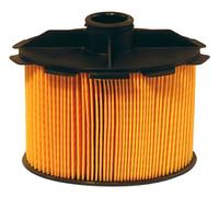Filtron Filtro carburante PE816/2 - cartuccia per Citroën, Peugeot, Toyota