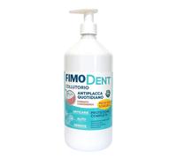 FIMODENT COLLUT A/PLAC QUTID1L