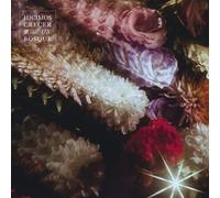 Fin Del Mundo Hicimos Crecer Un Bosque (CD)