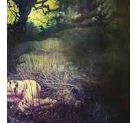 Final - Apple Never Falls Far