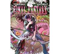 Final Fantasy. Lost stranger (Vol. 11)