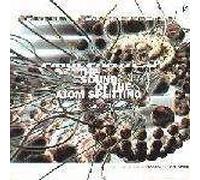 Final Fantasy - Sound of the Atom Splitting [12" VINYL]