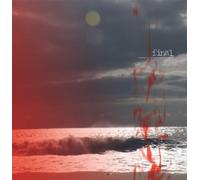 Final - Reading All The Right Signals Wrong