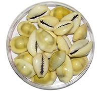 Finaldeals - Conchiglie Kowdi Kauri per Laxmi e Diwali Pooja, 21 pezzi