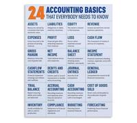 Financial Literacy Infographic Poster Accounting Essentials Explained