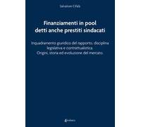 Finanziamenti in pool detti anche prestiti sindacati. Inquadramento giuridico del rapporto, disciplina legislativa e contrattualistica. Origini, storia ed evoluzione del mercato