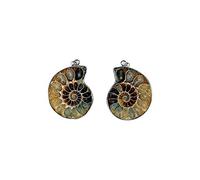 Find Something Different trovare qualcosa di diverso set di 2 ammonite pendente con montatura in metallo 3.5 cms