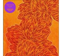 Find Your Flame - Nubiyan Twist (Audio cd)