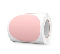 FINDAT Etichette Adesive Rotonde Autoadesive 100 mm Rosa - Rotolo da 300 pezzi Vinile per Ufficio, Scuola e Trasloco