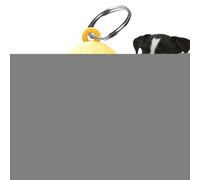 Finder chiave per la borsa, perduto TEY Finder - Pet Localatore wireless - Strumento di tracciamento della sveglia a due vie per sacchetti di telefoni cellulari, dispositivo di localizzazione degli ar